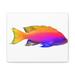 Rosecliff Heights Colorful Fish Stretched Canvas in Blue/Orange | 9 H x 12 W x 5 D in | Wayfair E2084A32B9164ABD9AE2036DDC83D4BC