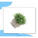 Primrue 4.7" Artificial Boxwood Topiary | 4.7 H x 4.7 W x 4.7 D in | Wayfair 44F238B701834ECA9FDE923098D2307E