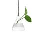 Wedding Flower Party Ball Hanging Glass Terrarium Container Decor Pot Vase Patio & Garden