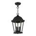 3 Light Outdoor Pendant Lantern in Traditional Style 9.5 inches Wide By 14 inches High Bailey Street Home 218-Bel-4362998