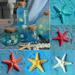 NUZYZ 5 Pcs Resin Starfish Ornament Beach Ocean Sea Star Home Wall Party Decoration