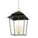 8 Light Pendant-36 inches Tall and 24 inches Wide-Aged Brass/Soft Black Finish Bailey Street Home 116-Bel-4885771