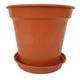 Elixir Gardens Glossy Plastic Terracotta Plant Pot with Saucer Various Sizes 3,4,5,6,7,8,10,12.5,15" Various Quantities 1-50 | 6" x 30