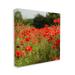 Stupell Industries Brilliant Red Poppy Meadow Scenic Flower Blooms - Wrapped Canvas Photograph Canvas in Green/Red | 17 H x 17 W x 1.5 D in | Wayfair