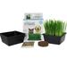 Mini Organic Pet Grass Kit - Grow Wheatgrass for Pets: Dog Cat Bird Rabbit More - Includes Trays Soil Wheat Grass Seeds Instructions