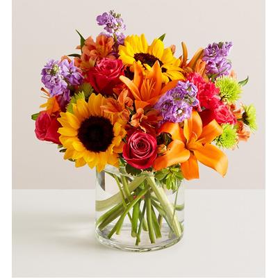 1-800-Flowers Everyday Gift Delivery Floral Embrace Xl