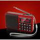 Odipie - Radio Portable FM/AM(MW)/SW/USB/Micro-SD/MP3, Poste Radio avec Grands Boutons et Grand