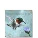 Darren Gygi Home Collection Hummingbird Giclee Wall Art by Darren Gygi - Wrapped Canvas Print Canvas in White | 36" H x 36" W x 1" D | Wayfair
