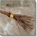 Darren Gygi Home Collection Witch's Broom Giclee by Darren Gygi - Wrapped Canvas Painting Canvas in White | 36" H x 36" W x 1" D | Wayfair