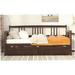 Wildon Home® Stamey Daybed Wood Bed w/ Storage Drawers Wood in Brown | 35.4 H x 42.3 W x 78.2 D in | Wayfair 948C5FB82EAA4D8A972D00DD81E84A00