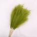 Primrue Pampas Grass Spray Silk in Green | 43 H x 8 W x 8 D in | Wayfair 8E32F267F66A4D319235E1C8DC582850