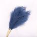 Primrue Pampas Grass Spray Silk in Blue | 43 H x 8 W x 8 D in | Wayfair 8C38A9B99EFB4A0A8C69350E2BE96D1F