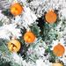 The Holiday Aisle® 24 Piece Christmas Ball Ornament Set Plastic in Orange | 1.18 H x 1.18 W x 1.18 D in | Wayfair F81774EFC4DB41B9B6C49B66654EE0C8