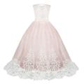 ZHAGHMIN Little Girls Easter Dresses Party Wedding Tulle Dress Princess Girl Gown Bridesmaid Lace Tutu Pageant Girls Dress&Skirt 4 Years Girls Clothes Girls Sweaters Dress Girl Toddler Christmas Dre