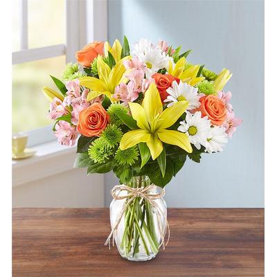 1-800-Flowers Everyday Gift Delivery Fields Of Europe For Sympathy Large