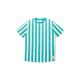 TOM TAILOR Jungen 1035993 Kinder T-Shirt, 31730 - Green Beige Vertical Stripe, 140