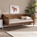 Loon Peak® Glenburn Mid-Century Modern Walnut Finished Wood & Synthetic Rattan Twin Size Daybed Wood in Brown | Wayfair