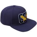 Men's Pro Standard Navy Coppin State Eagles Evergreen CSU Snapback Hat