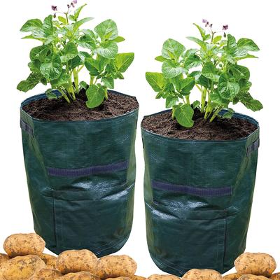 Potato Grow Bag Pack Of 2