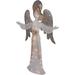 Northlight Seasonal Lighted Angel Figurine Plastic in Gray/Yellow | 49.25 H x 33.5 W x 3 D in | Wayfair NORTHLIGHT Y93942