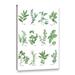 Gracie Oaks Herb Chart by Chris Paschke Graphic Art on Canvas in Green/White | 24" H x 16" W x 2" D | Wayfair 8714D29E7D62452DA577C7E920AA5F64