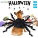 BadPiggies Simulation Furry Spider Costume for Pets Halloween Cat Dog Giant Outfits Cosplay Costumes for Puppy Kitten Party Dress Up M