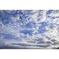 Peel-n-Stick Poster of Sky Nature Dramatic Clouds Fleecy Fluffy Cumulus Poster 24x16 Adhesive Decal
