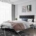 Zipcode Design™ Baca Bed w/ Metal Frame Platform Upholstered/Metal in Black | 39.4 H x 62.2 W x 81.5 D in | Wayfair