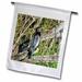 Florida Anhinga bird waiting for food and watching for gators 18 x 27 inch Garden Flag fl-292219-2