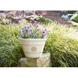 Southern Patio® 15.25" Modesto Resin Planter Composite/Resin/Plastic/Stone in White | Wayfair HDP-012504