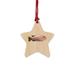 The Holiday Aisle® Peach Fish Wooden Holiday Shaped Ornament Plastic in Black/Brown/Pink | 3 H x 3 W x 1 D in | Wayfair