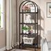 Mercer41 Laddie 70.87" H x 23.62" W Iron Standard Bookcase in Black | 70.87 H x 23.62 W x 11.81 D in | Wayfair C871A5458D50403988532C4A3B03C35D