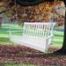 Fir Wood Porch Swing with Armrests, 800 lbs Weight Capacity, Waterproof Hanging Chains, and Weather-Resistant Varnish, Black