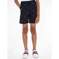 Tommy Hilfiger Boys Tommy Embro Chino Shorts - Desert Sky, Navy, Size 14 Years