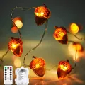 Guirlandes lumineuses 3D à piles 30 led décor d'automne citrouille pour Thanksgiving noël