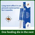 Poudre d'appât efficace pour tuer les cafards répulsif antiparasitaire anti-insectes insecticide
