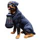 Garden Dog Statue, Outdoor Ornament with Solar Light, Resin Rottweiler Statues with LED Solar Lantern, Rottweiler Gifts for Dog Lovers