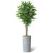 SIGNLEADER Artificial Tree In Modern Planter, Fake Ficus Tree Home Decoration (Plant Pot Plus Tree) Silk/Polyester/Plastic in Blue | 75 H in | Wayfair