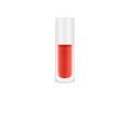 ZHAGHMIN Shimmer Blush 5 Colors Blushs Lip and Cheek Dual Use Foreign Trade Monochrome Liquid Blushs Lotion Sun Red Rouge Natural and Durable Makeup 8Ml/0.28Fl Oz Makeup Brands All Brands Lipstick D