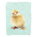 August Grove® Spring Chick II - Wrapped Canvas Print Metal in Green/Yellow | 32 H x 24 W x 1.25 D in | Wayfair FF77E5FCEC644D5DB71440A4F2AEB989