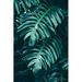 Bayou Breeze Palm Leaf In Rainforest Metal | 48 H x 32 W x 1.25 D in | Wayfair 8666A91C64FB47C3BADE16852756A373