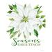 The Holiday Aisle® Season's Greetings Poinsettia by Cindy Jacobs - Wrapped Canvas Print Canvas in White | 48 H x 36 W x 1.25 D in | Wayfair