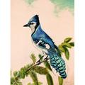 Wildon Home® Bluebird on Evergreen - Wrapped Canvas Print Metal in Blue/Green/Yellow | 32 H x 24 W x 1.25 D in | Wayfair