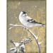 Wildon Home® Winter Birds Goldfinch Neutral by Beth Grove - Wrapped Canvas Print Canvas in White | 48 H x 36 W x 1.25 D in | Wayfair