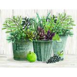 August Grove® Farmer Market Succulent Harvest - Wrapped Canvas Print Canvas | 18 H x 24 W x 1.25 D in | Wayfair E91FA71E032F4DDEB68EDEDC713460AC