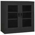 Anself Office Cabinet with Adjustable Storage Shelves and 2 Glass Doors Steel Filing Cabinet Anthracite for Office Living Room Bedroom Home Furniture 35.4 x 15.7 x 35.4 Inches (W x D x H)