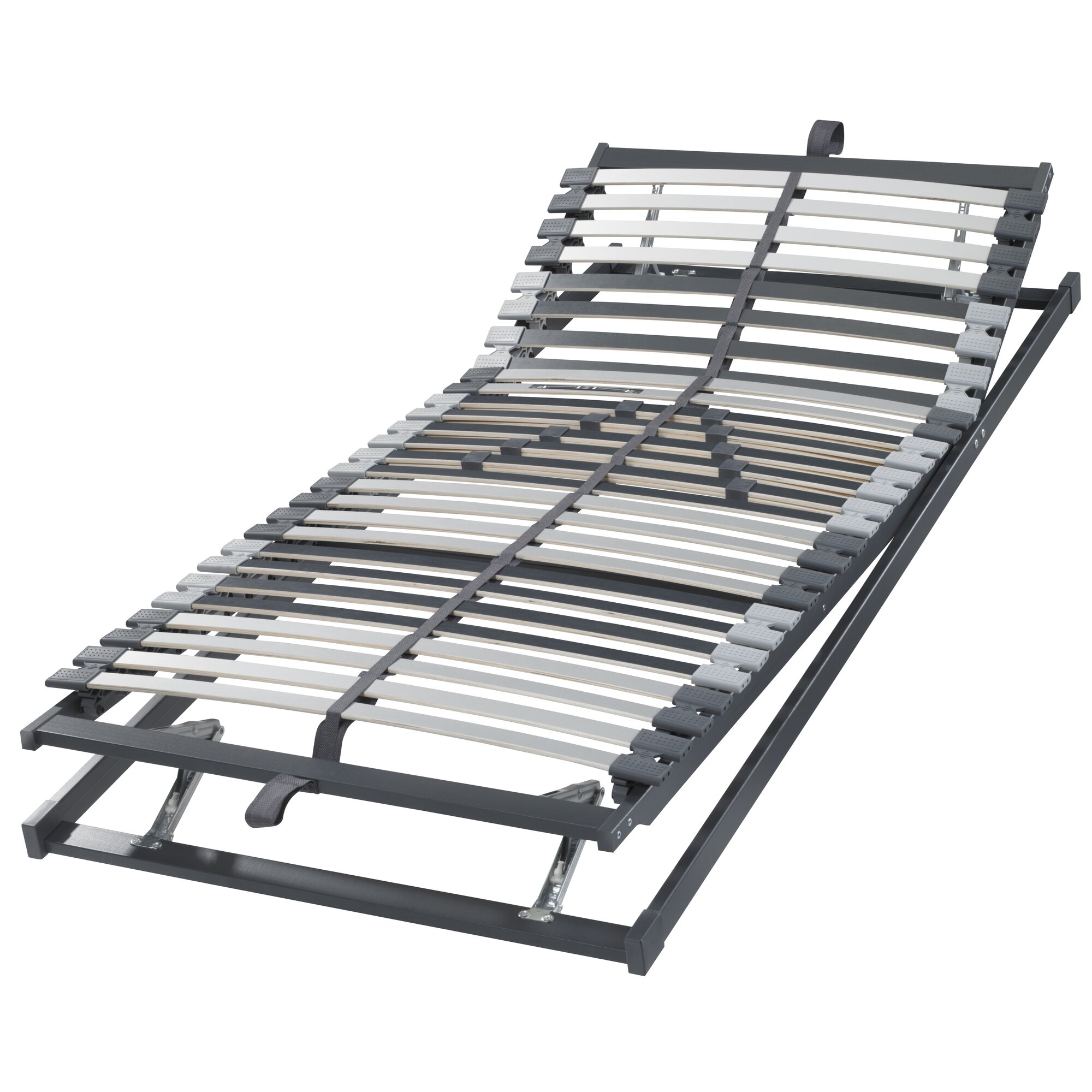 Badenia »DUO 28 EL« Lattenrost Motor 80x200 cm / mit Funkfernbedienung