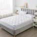 Alwyn Home 1" Down & Feathers Mattress Topper Waterproof Cotton Mattress Pad Down/Feather/Cotton | 75 H x 39 W x 1 D in | Wayfair