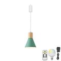 FSLiving Dimmable Hanging Light with Rechargeable Battery Operated LED RGB Bulb Wooden Base Green Pendant Light Color Changing Timing Lamp for Bar Party Courtyard Nightstand Camping - 1 Lamp