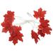 FFENYAN Lights Outdoor String Lights Thanksgiving Maple Leaf Lamp String Garden Party Room Ins Decorative Lamp USB 20 Lamp